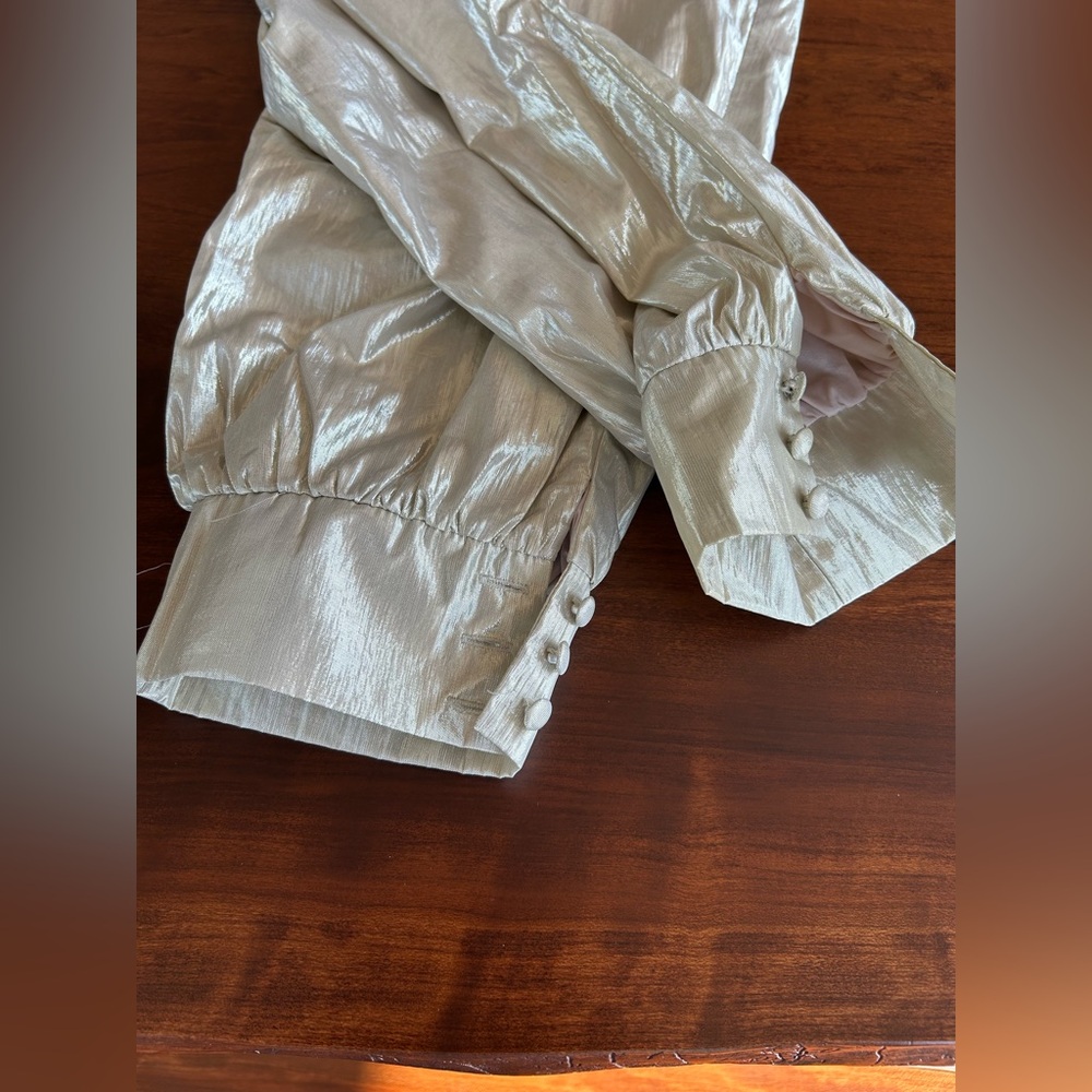 Lovers + Friends Metallic Champagne Trousers - Picture 8 of 9